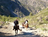 /album/fotogaleria-fotogaleria/dsc-0373-2-jpg/